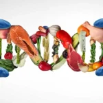 India’s Functional Food and Nutraceutical Market Moves Into the Mainstream