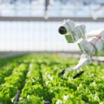 Policy push for agri-tech seen as key to future food security
