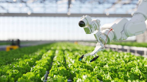 Policy push for agri-tech seen as key to future food security